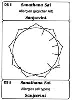 Sanathana Sai Sanjeevini DS 5 – Heilkarte